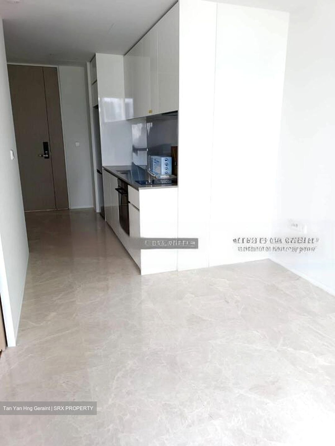 Amber Park (D15), Condominium #477218091